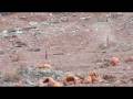 videos de 