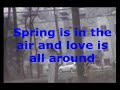 American Kestrel:  Spring is in the air & love is all around