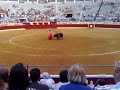 Indulto Finito de Cordoba Toiros Varela Corujo (parte 7 )