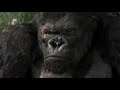 superman-returns-international-trailer-2006.html