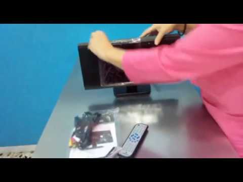 動画