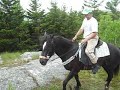 green horse riding rocky mountain trail