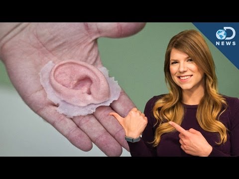how to clone human body parts for transplant