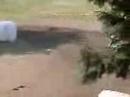 unadilla