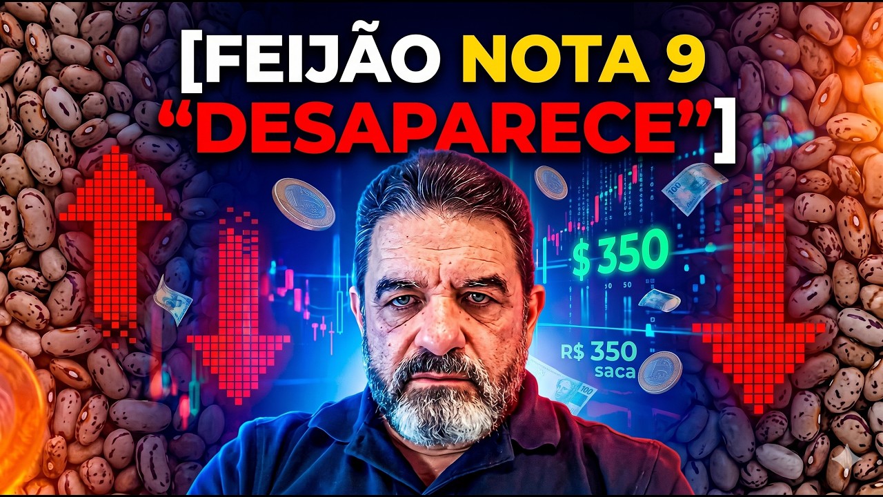Feijão Nota 9 "Desaparece": Escassez leva saca aos R$ 350.