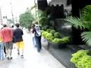 A Caminho do Aniversario do Gih XD A Caminho do Aniversario do Gih XD