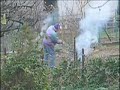pyros