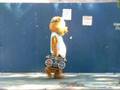 funky electric bear
