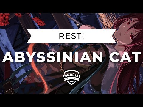 Rest! - Abyssinian Cat (Electro Swing)