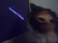 Minca am PC