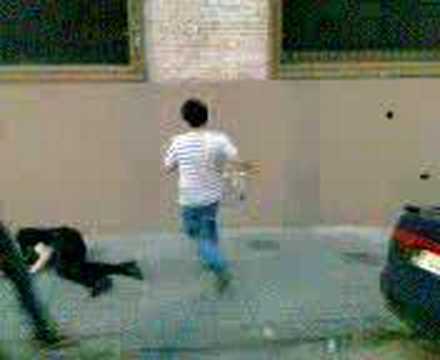 gacela thompson en barcelona