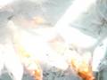 videos de tanga.MPG