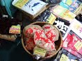 Video Podcast 7- Virtual Tour of Akihabara
