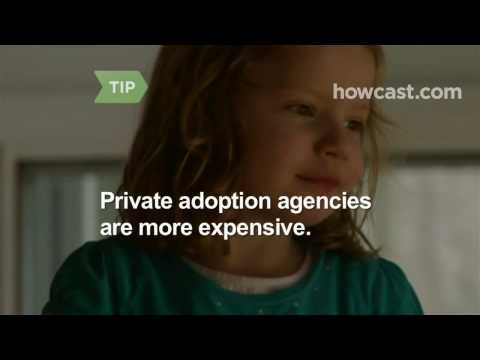 how to decide whether to adopt