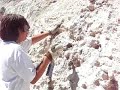 Dinosaurs Rock Fossil Dig - Geodes