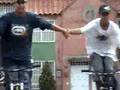 videos de ciclas