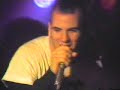 Pantera -
