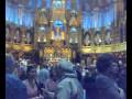 Organo de la Catedral