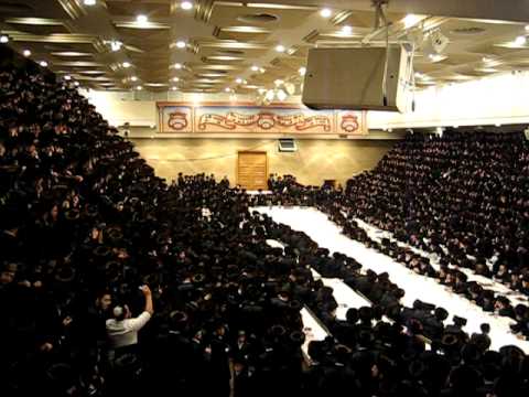 Belzer Bar Mitzvah