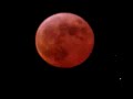 pink moon