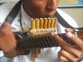 charango y zampoña   amor amor   perú