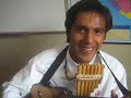 charango y zampoña   amor amor   perú