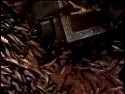 how to isolate transmembrane proteins