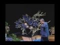 videos de Wafu Teshigahara NARC demo - part4