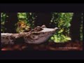 fatboy slim- right here right now