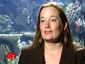 survey: weather changes threaten coral reefs