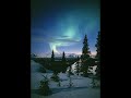 The Blue Jays - Nights, Winters, Years The Blue Jays - Nights, Winters, Years