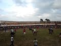 Corraleja Toros Cove�as - Sucre Caballo Cornado por Toro