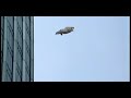 Planestupid.com | 