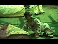 Babel - Novo Teatro para Bebés, em Bragança.flv