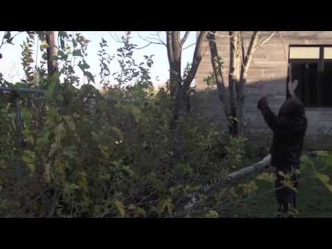 how to practice jediism