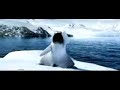 HAPPY FEET HAPPY FEET