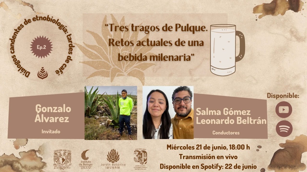 EPISODIO 02: TRES TRAGOS DE PULQUE. RETOS ACTUALES DE UNA BEBIDA MILENARIA
