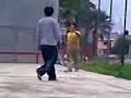 frontenis frontenis