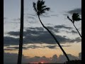THE ROMANTICS.. SUN, SEA , PALMS