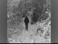 Nocturnal Depression - Fjaer