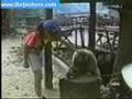 MONKEY HEAD SCRATCH!!! HILARIOUS