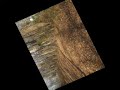 The Proof at Portal Tree of Sasquatch by Dallas Gilbert.mpg