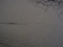 the way to Auschwitz