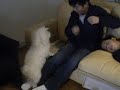 worlds funniest video