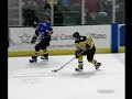 Lyon Messier Big Hit, NHL Prospect