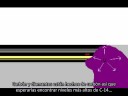 ¿Alguna vez se han topado con un creata que jura que la Tierra tiene sólo 6000 años de antigüedad y que la Biblia lo prueba?En este episodio, Potholer54 nos explica cómo funcionan los principales métodos de datación: Carbono-14, Potasio- Argón, Dendrocronología, ADN, Termoluminiscencia, etc.También hace una invitación cordial a todos los creacionistas para que elaboren sus propios métodos de datación y prueben que nuestra cronología es incorrecta.¿Alguien sabe por qué estos honestos creyentes no se atreven a poner a prueba sus creencias?¡Disfruten el video!Y no olviden suscribirse a los videos de Potholer54 y Potholer54debunks:http://www.youtube.com/potholer54http://www.youtube.com/Potholer54debunks------------------------------------------------------------------------------------Éste es el quinto video de la serie 