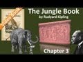Chapter 03 - The Jungle Book by Rudyard Kipling