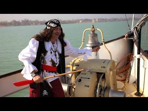Pharrell Williams - Happy ( WE ARE FROM LAKE BALATON ) Official