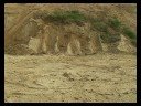 Sand sledding in fall