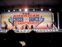 Majestic All-Stars Senior Heart